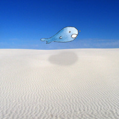 05 Birds Were Meant for the Sky