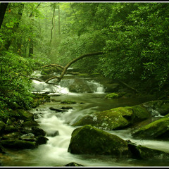 အလြမ္းေရစီးေခ်ာင္း