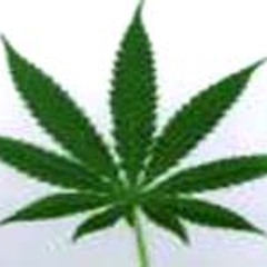 Bart Skills - Smokes Weed Every Day (DJ Lion & Zon Mashedit 2008)