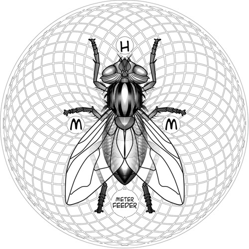 Hail Mary Mallon - Meter Feeder (Blockhead Remix)