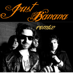 Vismets - Wasted Party (JUST BANANA! Remix) Free DL