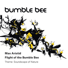 Max Aristid - Flight of the Bumble Bee
