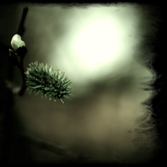 Ars Sonor - Invisible Sun I