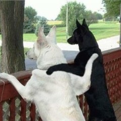 Ale les desea FEliz Dia del amigo 2011 Bizarren.