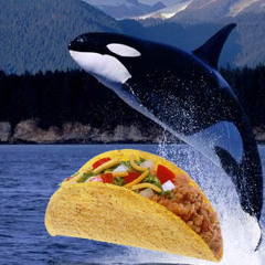 Whale Tacos