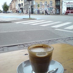 Cafe Plenum at 4pm on 20th July 2011. Denmark Copenhagen.