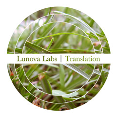 LUNOVA LABS - Translation