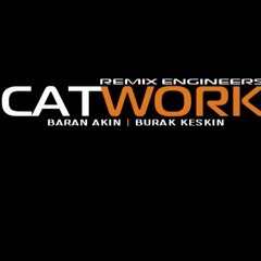 Catwork Remix Engineers Ft. Anda Adam - Feel (2011 remix)