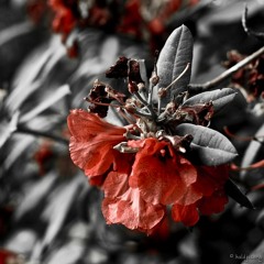 Su juustes on päike