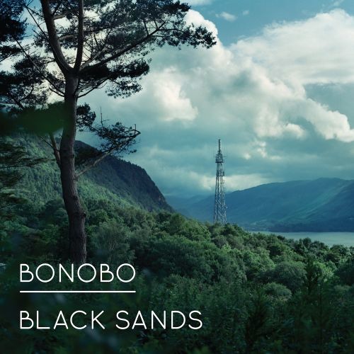 Bonobo - Animals