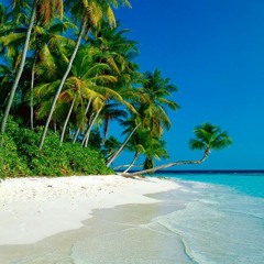 "Summer in Rifredi" Cruko, Pupet & Daninjaz EXCLUSIVE