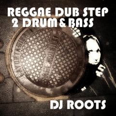 reggae dub step 2 drum&bass - dj roots