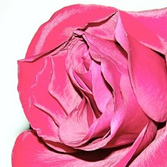 What Hurts Me I Need - Lyrics And Song by Phillip J Rhoades - Backing Track In Ladida