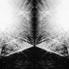 The Ocean of Becoming