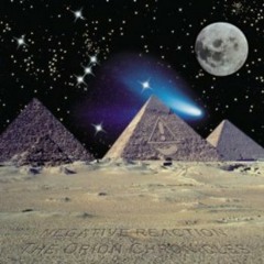 Negative Reaction - The Moon Song