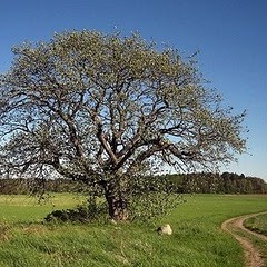 A saw sone pyan khe' hnin thet thet wai- khine htoo