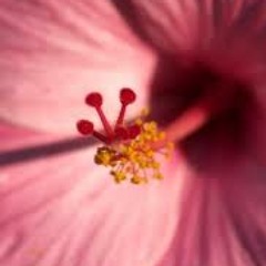 12 From The Heart Ⓒ