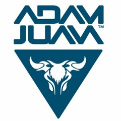 Paul Johnson - Get Down (Adam Juan remix)