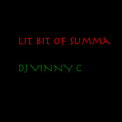 Lit bit of summa - DJ VINNY C