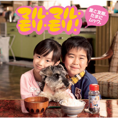 Maru-Mori vs. Sunchyme (DJ Sya.Rou Mashup - Smile for Japan Edit) Demo