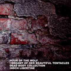 HOTW / IDOHBT / DBC / IL - HNW split