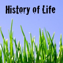 History of Life by Joby