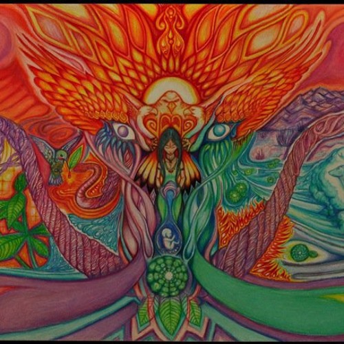 Malkat Ha'yaar \ מלכת היער - SOL 81