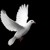 Artwork for Cymande - Dove  (rbw re-edit1)