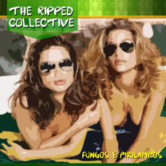 FUNGOS E PIRILAMPOS REMIX-THE RIPPED COLLECTIVE