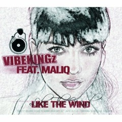 VIBEKINGz - Like The Wind