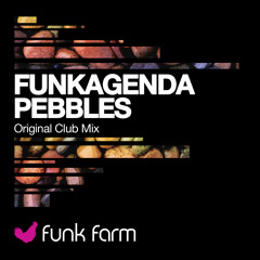 Funkagenda - Pebbles [Original Mix] ***OFFICIAL PREVIEW***