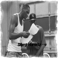 Rose        produced by CG Muzik      Silent Hornetz