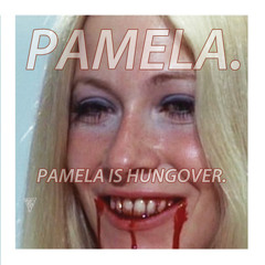 PAMELA - Liedown