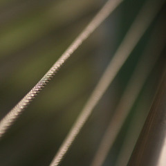 Tension