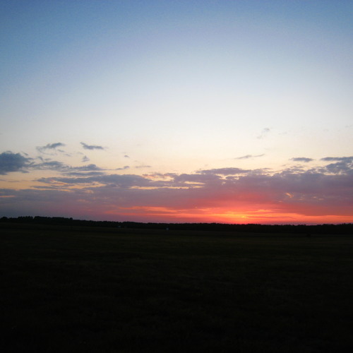 DjunaSaurus - False Prophet (preview)