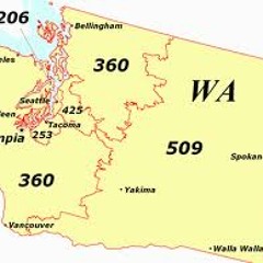 THE WA feat. West Coast Stone, Factor & LB & Silver Shadow D