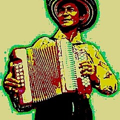 La Pava Congona Andres Landero ($LE$H Cumbia or Die Edit)