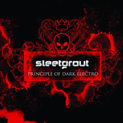 Sleetgrout feat. Zynthexia - This Time Is Over