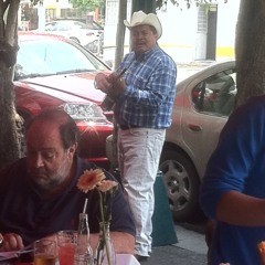 Street crooner in Condesa