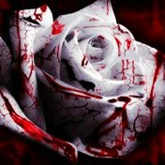 ☜♫☞分享☜♫☞⊹⊱46⊰⊹☜♫☞Share☜♫☞