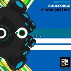 Soulforge - It Was Destiny (Luiz B Remix)