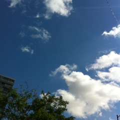 burgundy shoes ingrid&paul SPACE