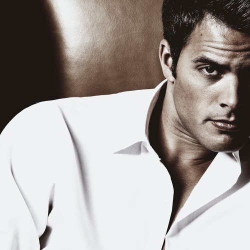 The Leo King (DJ David Palmer) - Pink Elephants In The Lion's Den (2011)