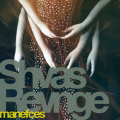 Shvas Revnge