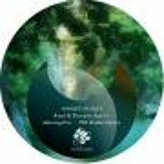 Asal & Danilo Aprile - Morning Kiss (Phil Weeks Classic Filter Mix)