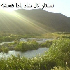 Hamed