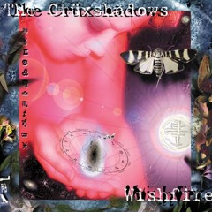The Crüxshadows - Tears
