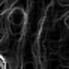 [OS] A Serenade to Song