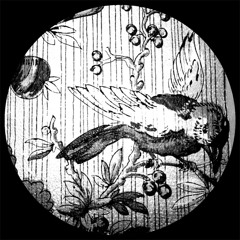 Orchestra Of Spheres - Hyperspheres (Daphni Edit)