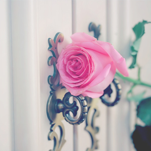 اكـــــرم بــــآل   نشيد رائع